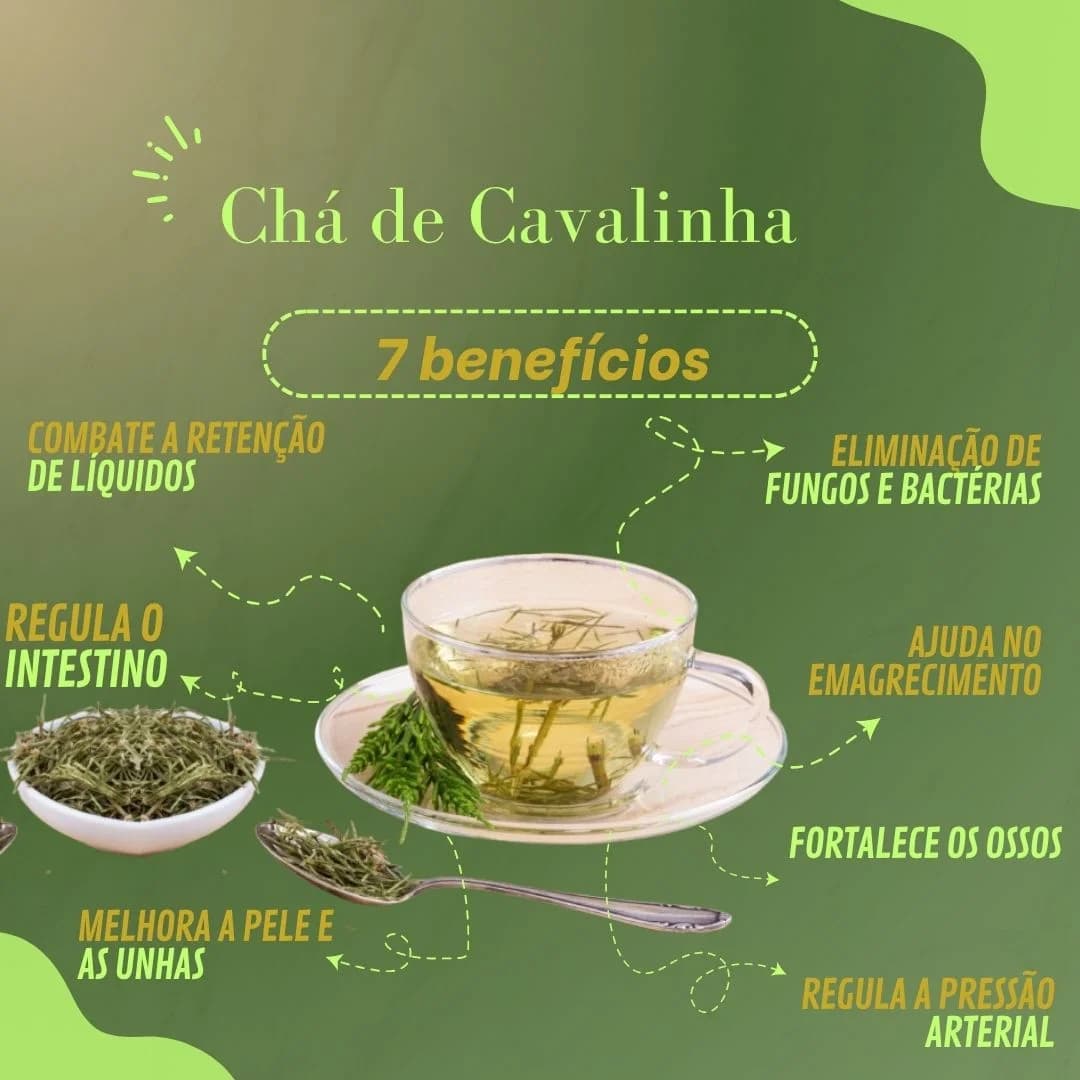 Ervanária Natural — Conteúdo educativo